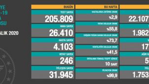 Bir günde 246 can kaybımız daha var