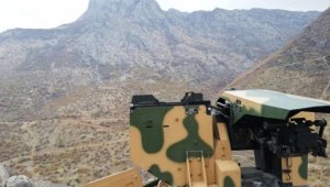 Bitlis'te "Yıldırım-16 Sehi Ormanları Operasyonu" başlatıldı