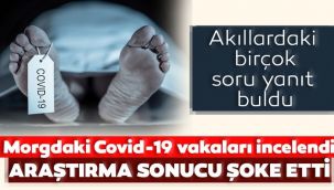 Bu çalışma Covid-19'dan kurtulmayı sağlayabilir