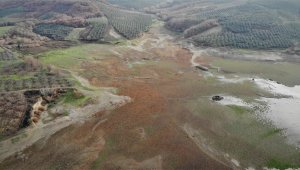 Bursa'da kuraklık alarmı... 40 yıldır ilk defa yaşandı