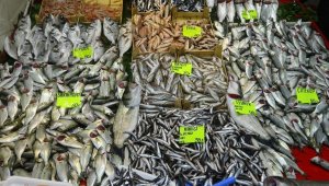 Çanakkale'de balıkçı tezgahları hafta sonu açık olabilecek