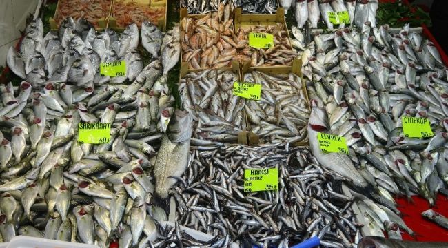 Çanakkale'de balıkçı tezgahları hafta sonu açık olabilecek