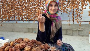 Cennet hurması, altın yılını yaşıyor