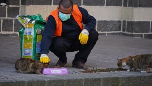 Diyarbakır'da kısıtlamada can dostları unutulmadı