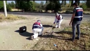 DNA örnekleri bütün foyalarını ortaya çıkardı