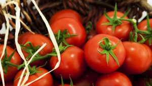 Domates ihracatçıları, kota engeliyle karşı karşıya