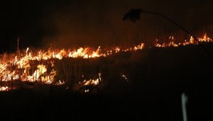 Eber Gölü yine alevlere teslim oldu