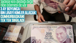 Destek paketinden hangi esnaf yararlanacak?