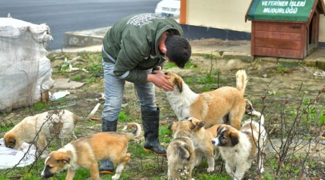Esenyurt Belediyesi hayvan dostlarını unutmuyor