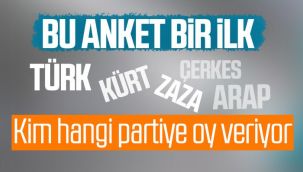 Etnik kimliğe göre seçmen hangi partiye oy veriyor?