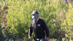 Fidanları bir gecelik hevesten koruyorlar