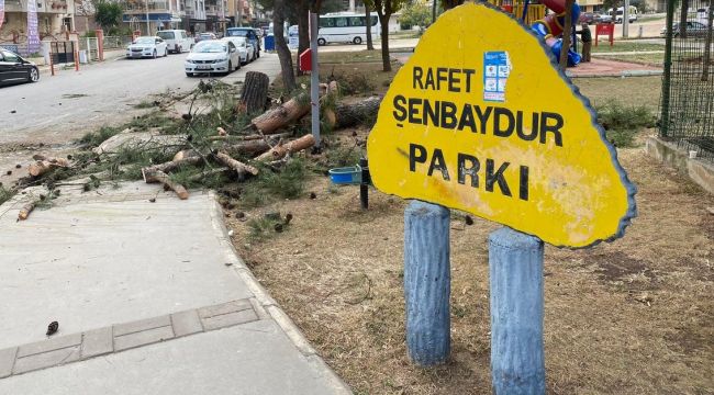 Gaziemir'den parktaki ağaç kesimiyle ilgili açıklama