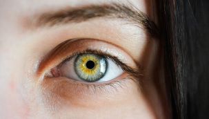 Görme engelli insanlar ne görürler?