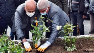 Güllübahçe, adını aldığı güllerine kavuşuyor