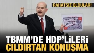 HDP'liler terör operasyonundan rahatsız oldu