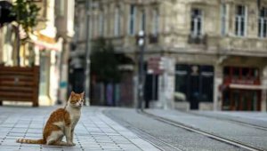 İçişleri Bakanlığı'ndan kısıtlamalarla ilgili o sorulara cevap 