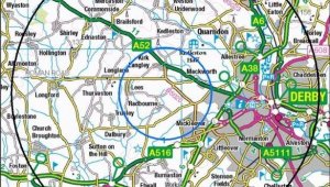 İngiltere'de yüksek derecede bulaşıcı "kuş gribi" salgını