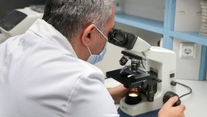 İnsan sağlığı için zararlı olmayan yeni bakteri cinsi ve türü keşfedildi