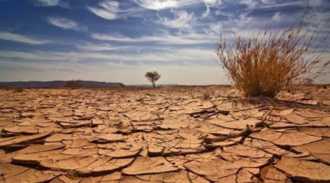 İstanbul'da Ürküten tablo: Aralık ayı yağış ortalaması yüzde 80 düştü