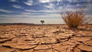 İstanbul'da Ürküten tablo: Aralık ayı yağış ortalaması yüzde 80 düştü