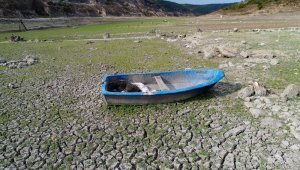 İstanbul'la ilgili korkutan veri