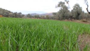 İzmir Büyükşehir kuraklığı böyle yenecek