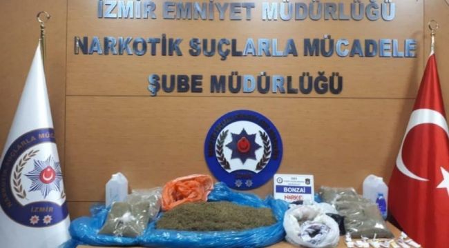İzmir'de 15 kilo bonzai ele geçirildi