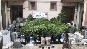 İzmir'de uyuşturucu serasına operasyon