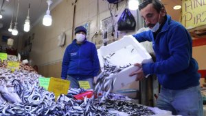 Karadeniz hamsisi 8 TL