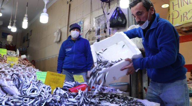 Karadeniz hamsisi 8 TL