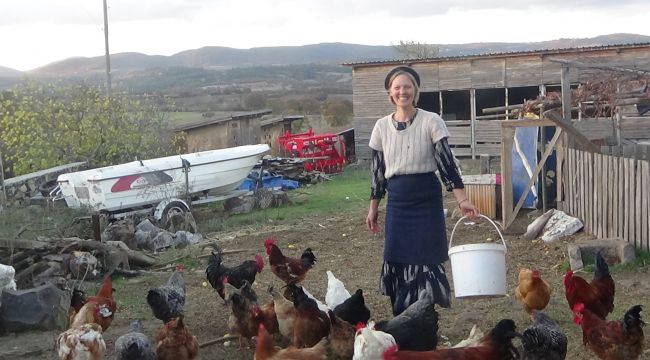 Kaz Dağları'nın yerlisi oldular