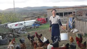 Kaz Dağları'nın yerlisi oldular