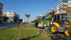 Kent merkezinde kapsamlı bakım-onarım