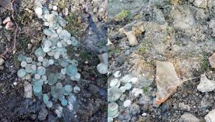 Kepçenin kazı sırasında kırdığı küpten çıktı