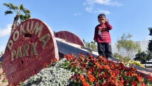 Kepez'de 11 ayda 65 bin 276 adet bitkiyi toprakla buluştu