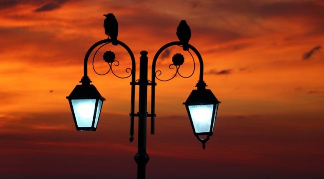 KKTC'ye tel çekilecek, elektrik gidecek