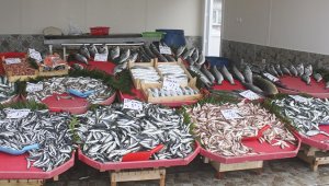 Komşularının 10 bin TL değerinde balığını çaldılar