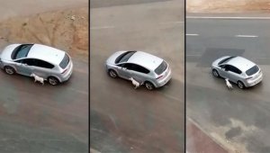 Köpeğe eziyet! Tasmasından tutup otomobille gezdirdi