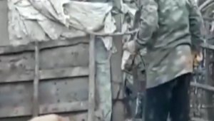 Köpeği döven şahıs polis tarafından yakalandı