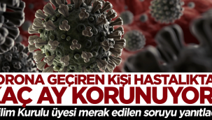 Korona geçiren kişi hastalıktan kaç ay korunuyor?