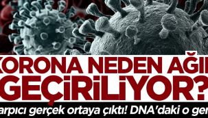 Koronayı ağır atlatmanın nedeni ortaya çıktı