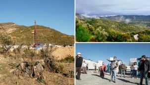 Köylüler asırlık zeytinleri korumak için dava açtı