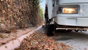 Kuru yapraklar geri dönüşümle parklara gübre oluyor