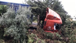 Kuşadası'nda TIR tarlaya uçtu