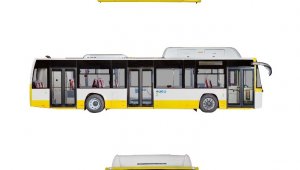 Mersinliler sarıyı seçti