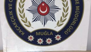 Muğla'da sahte dolar operasyonu