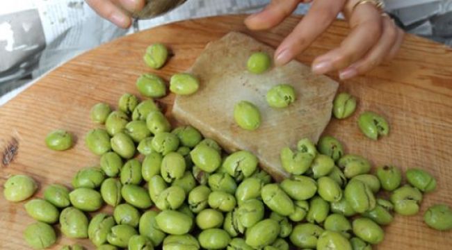 Ödemiş Ticaret Odası Çekişte Zeytinyağına coğrafi işaret tescili aldı