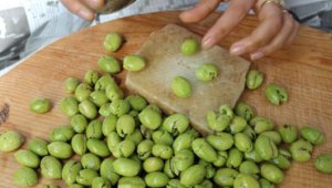 Ödemiş Ticaret Odası Çekişte Zeytinyağına coğrafi işaret tescili aldı