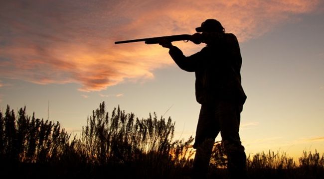 Okul müdür yardımcısı domuz avında vuruldu