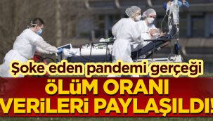 Ölüm oranları açıklandı: Sonuç ilginç